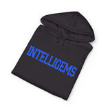 Intelligems Logo - Hoodie